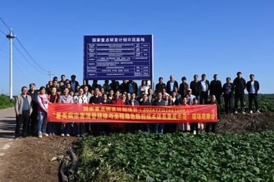 綠色防控，“薯”來運轉——河南省農科院植保所召開甘薯病蟲害綠色防控培訓觀摩會