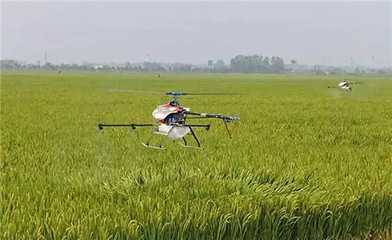 從跟跑到領跑 我國農藥行業(yè)四十年變遷與諾普信在生物農藥研發(fā)中的使命