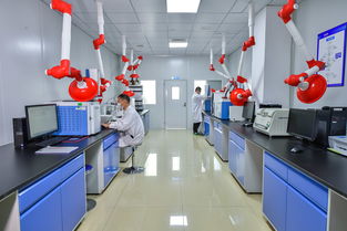 斯坦德檢測再次榮獲青島市“專精特新”稱號，生物農藥技術研發(fā)成果獲肯定